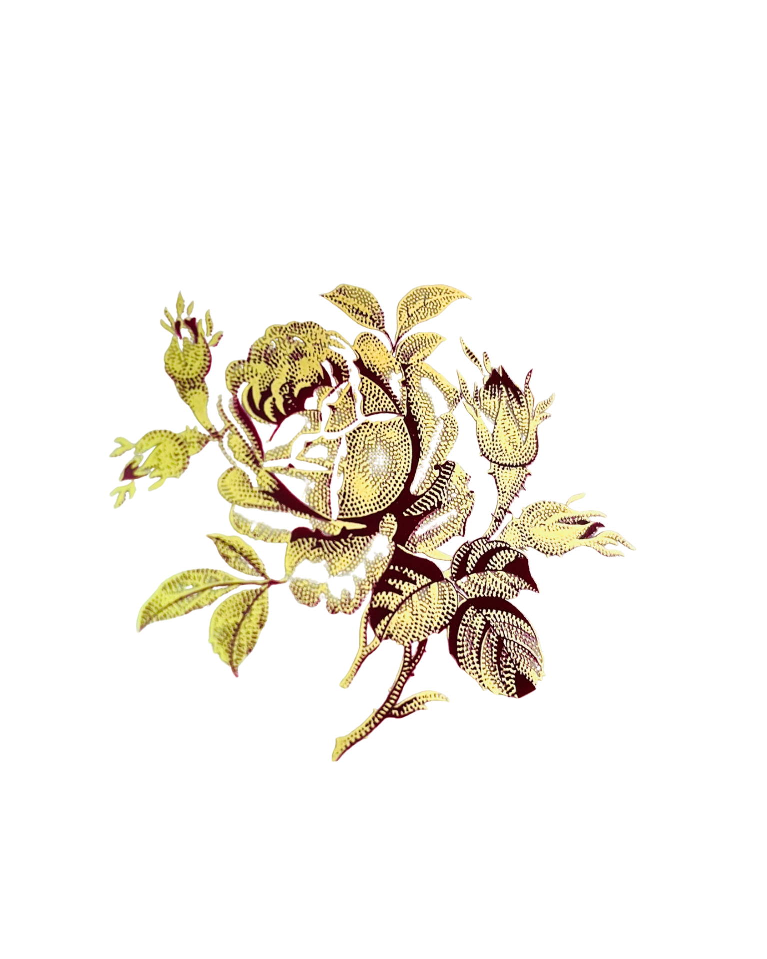 Volné dekory k prodeji - Dekor "VICTORIE" 