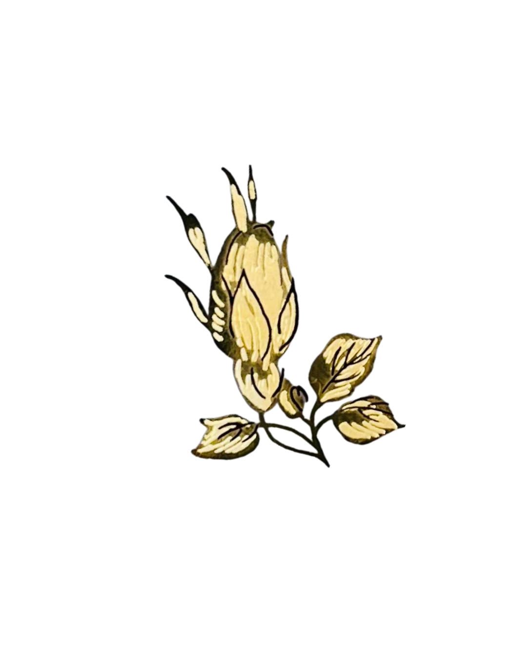 Volné dekory k prodeji - Dekor "PARADISE"