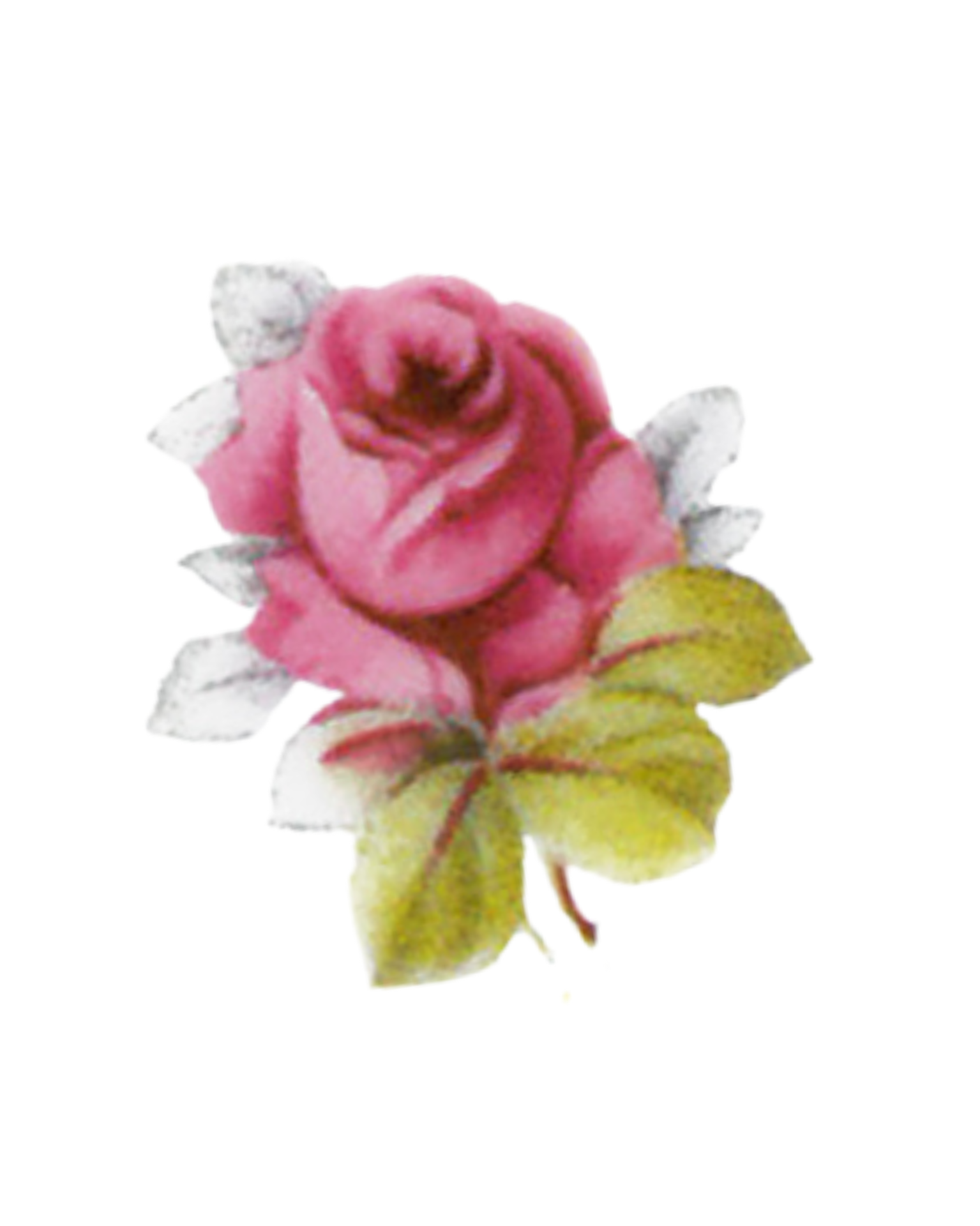 Volné dekory k prodeji - Dekor "KAMILA HÁZENKA"