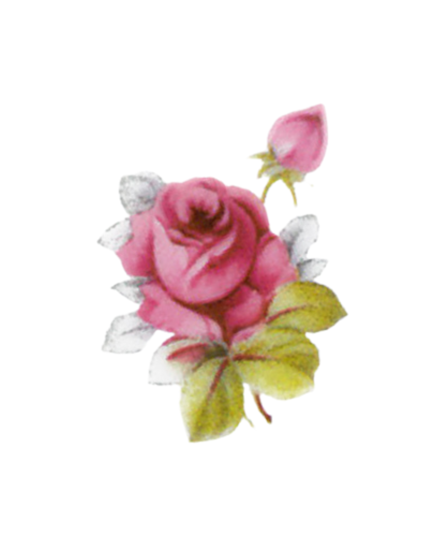 Volné dekory k prodeji - Dekor "KAMILA HÁZENKA"